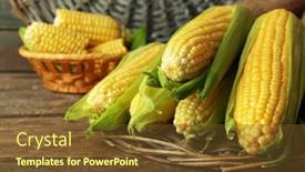  Presentation with corn cobs - PPT layouts featuring fresh corn on cobs on wicker mat on wooden table closeup background and a tawny brown colored foreground