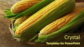  Presentation with corn cobs - PPT layouts having fresh corn on cobs on wicker mat on wooden table closeup background and a tawny brown colored foreground