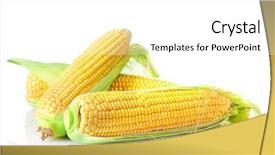  Presentation with corn - PPT layouts with fresh corn on white background background and a white colored foreground