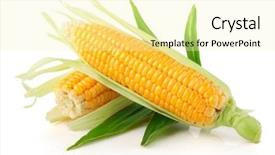  Presentation with green leaves - Amazing slides having fresh corn vegetable with green backdrop and a blonde colored foreground