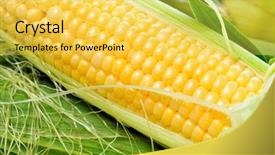  Presentation with green leaves - Slide deck having fresh corn vegetable with green leaves background and a yellow colored foreground
