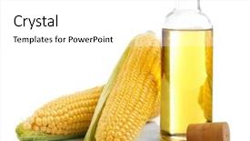  Presentation with corn - Theme with fresh corn with bottle of oil isolated on white background and a white colored foreground