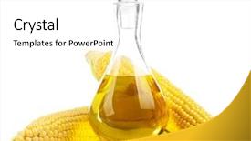  Presentation with corn - Slide deck having fresh corn with bottle of oil isolated on white background and a white colored foreground