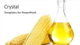  Presentation with corn - Cool new theme with fresh corn with bottle of oil isolated on white backdrop and a white colored foreground