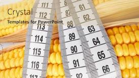  Presentation with corn - Presentation design enhanced with fresh-corn-with-measuring-tape background and a lemonade colored foreground