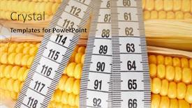  Presentation with corn - PPT theme enhanced with fresh-corn-with-measuring-tape background and a yellow colored foreground