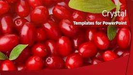  Presentation with berries - Colorful slide set enhanced with fresh-cornel-berries-close-up backdrop and a crimson colored foreground