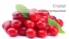  Presentation with berries - Slides consisting of fresh-cornel-berries-isolated background and a white colored foreground