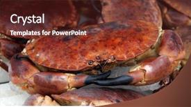  Presentation with crab - PPT layouts featuring fresh-crab-for-sale background and a tawny brown colored foreground