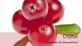  Presentation with fresh ginger root on white - Theme with fresh cranberry isolated on white background and a red colored foreground