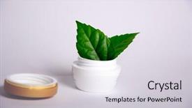  Presentation with facial - Presentation having fresh cream facial on vegetable background and a  colored foreground