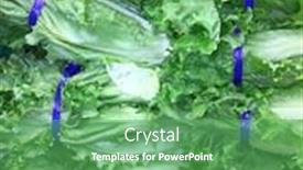  Presentation with crisp - Amazing PPT theme having fresh-crisp-romaine-lettuce-nicely backdrop and a seafoam green colored foreground
