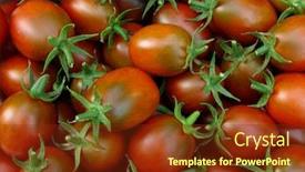  Presentation with brown - Colorful slides enhanced with fresh-cropped-brown-tomatoes backdrop and a tawny brown colored foreground