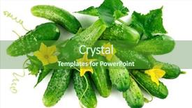  Presentation with top view of appetizing fresh - Presentation consisting of fresh cucumber top view green background and a forest green colored foreground