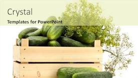  Presentation with cucumbers - Slides having fresh cucumbers in wooden box and dill isolated on white background and a blonde colored foreground