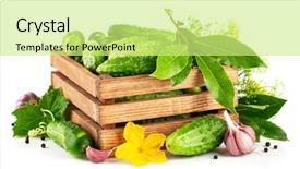  Presentation with cucumbers - PPT theme consisting of fresh cucumbers in wooden box with green leaf and flower isolated on white background background and a soft green colored foreground