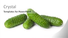  Presentation with cucumbers - Cool new slide deck with fresh-cucumbers-isolated-on-white backdrop and a white colored foreground