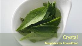  Presentation with water leaf - Presentation design consisting of fresh curry leaf with water background and a tawny brown colored foreground