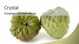  Presentation with apple - Presentation theme consisting of fresh custard apple isolated background and a white colored foreground