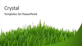  Presentation with green glass - Colorful presentation theme enhanced with fresh cut grass - green glass isolated backdrop and a  colored foreground