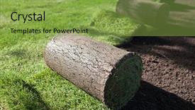  Presentation with spread - Colorful theme enhanced with fresh cut grass - new lawn being spread backdrop and a yellow colored foreground