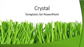  Presentation with fresh cut fruits vegetables - Presentation theme with fresh cut grass background and a white colored foreground