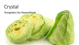  Presentation with white green - Slide deck having fresh cut green pointed cabbage background and a white colored foreground