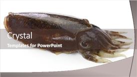  Presentation with fresh water splash green apple isolated white - Beautiful slide deck featuring fresh cuttlefish isolated on white background backdrop and a tawny brown colored foreground
