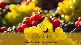  Presentation with grape - Colorful presentation design enhanced with fresh-delicious-grapes-glows backdrop and a gold colored foreground