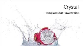  Presentation with fruit splash - Beautiful slide deck featuring fresh dragon fruit in water backdrop and a white colored foreground