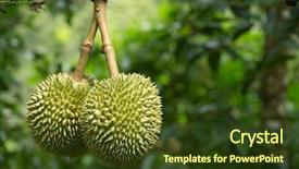  Presentation with durian - Slide set having fresh durian in the orchard background and a tawny brown colored foreground