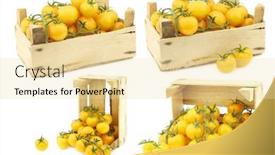  Presentation with vine - Beautiful PPT theme featuring fresh-dutch-yellow-tasty-tom backdrop and a lemonade colored foreground