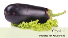  Presentation with eggplant - PPT theme having fresh-eggplant-isolated-on-white background and a yellow colored foreground