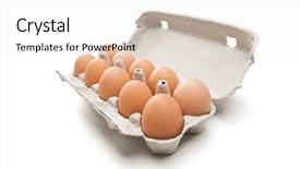  Presentation with box carton - Beautiful presentation theme featuring fresh eggs in carton box backdrop and a white colored foreground