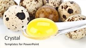  Presentation with quail - Beautiful presentation theme featuring fresh eggs of a quail backdrop and a  colored foreground