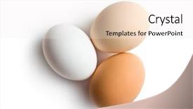  Presentation with egg - PPT layouts having fresh eggs on white background background and a white colored foreground