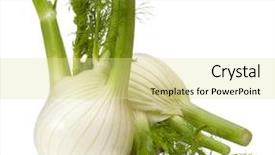  Presentation with fresh ginger root on white - Colorful PPT theme enhanced with fresh fennel bulb isolated backdrop and a blonde colored foreground