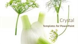  Presentation with bulb - Slide deck having fresh-fennel-bulb-with-leaves background and a cream colored foreground