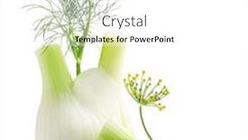  Presentation with bulb - Audience pleasing PPT theme consisting of fresh-fennel-bulb-with-leaves backdrop and a white colored foreground