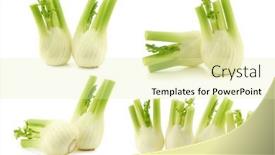  Presentation with fresh ginger root on white - Audience pleasing PPT theme consisting of fresh-fennel-on-a-white backdrop and a soft green colored foreground
