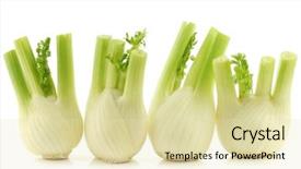  Presentation with fresh ginger root on white - Beautiful presentation theme featuring fresh fennel on a white backdrop and a soft green colored foreground