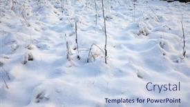  Presentation with first - Audience pleasing presentation design consisting of fresh-first-snow-covering backdrop and a lemonade colored foreground