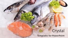  Presentation with fresh meat - PPT theme consisting of fresh fish and other seafood background and a coral colored foreground