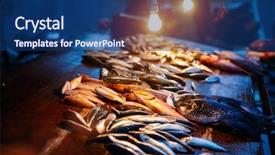  Presentation with top view of fresh fish - Beautiful PPT theme featuring fresh fish at night seafood backdrop and a ocean colored foreground