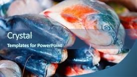  Presentation with seafood - Colorful PPT theme enhanced with fresh fish at seafood market backdrop and a ocean colored foreground