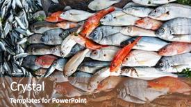  Presentation with top view of fresh fish - Presentation theme having fresh fish at the market background and a tawny brown colored foreground