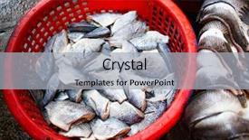  Presentation with freshwater fish - Cool new PPT layouts with fresh fish fillet backdrop and a  colored foreground