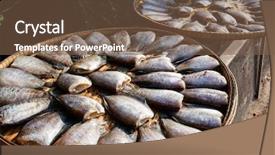  Presentation with freshwater fish - Beautiful slide deck featuring fresh fish fillet backdrop and a  colored foreground