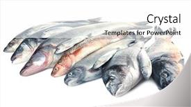  Presentation with fresh meat - Beautiful presentation theme featuring fresh fish isolated on white backdrop and a white colored foreground