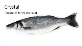  Presentation with fish - Slide set featuring delays late layover postponed hindrance background and a soft green colored foreground